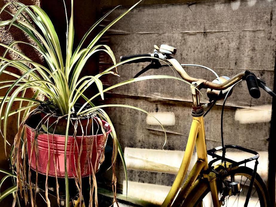 Maya Rhome Trastevere Rome Buitenkant foto